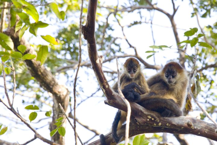 why-june-is-the-best-time-to-visit-rincon-de-la-vieja