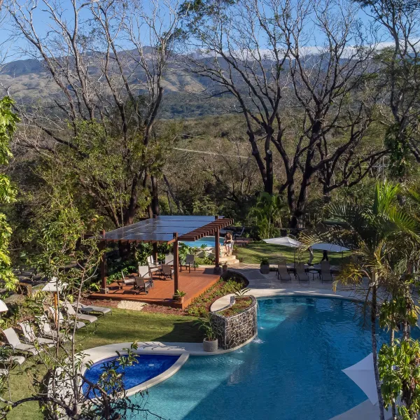 a group of lawn chairs sitting on top of a tree