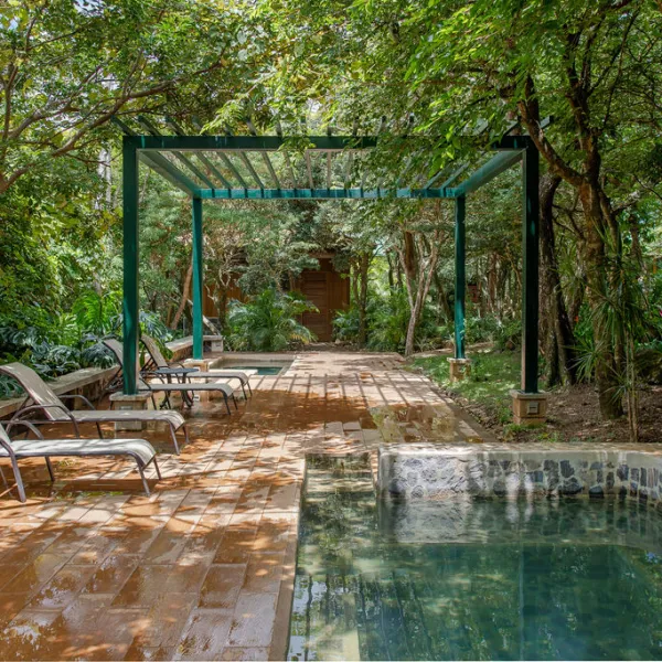a bridge over a pool of water