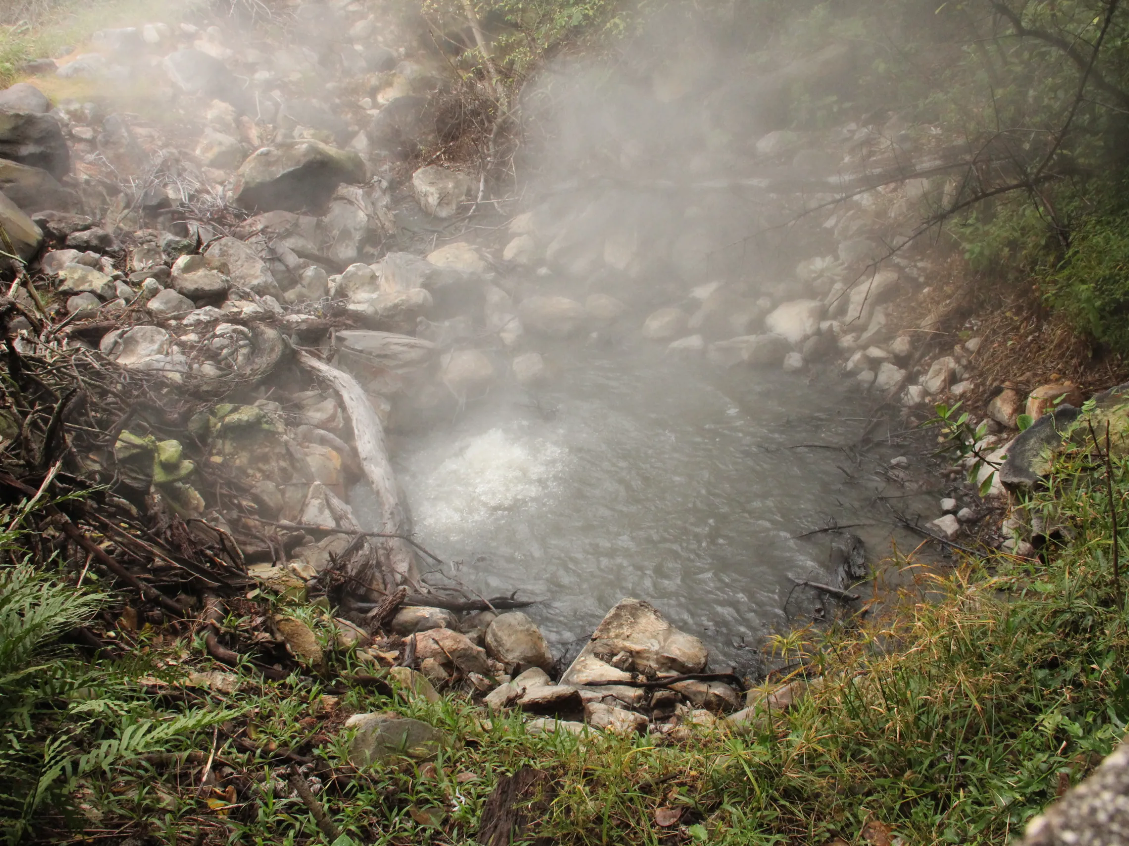 Steaming hot spring surrounded by rocks and greenery.