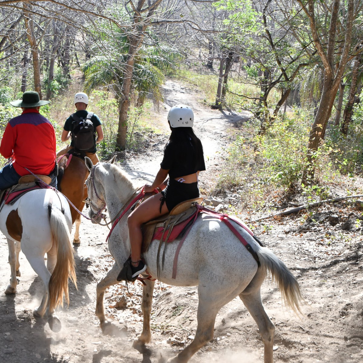 Three people horseback riding on a forest trail with sunlight filtering through trees.