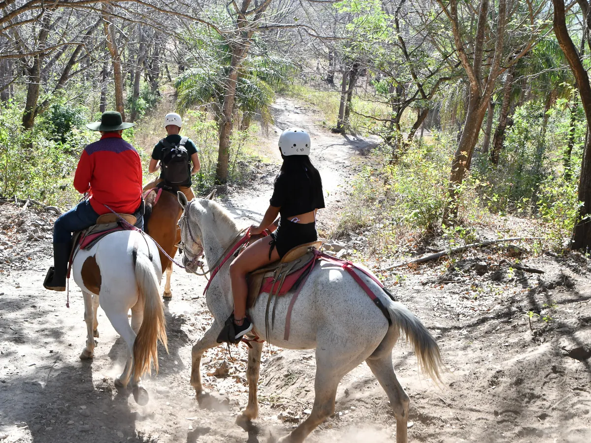 Three people horseback riding on a forest trail with sunlight filtering through trees.
