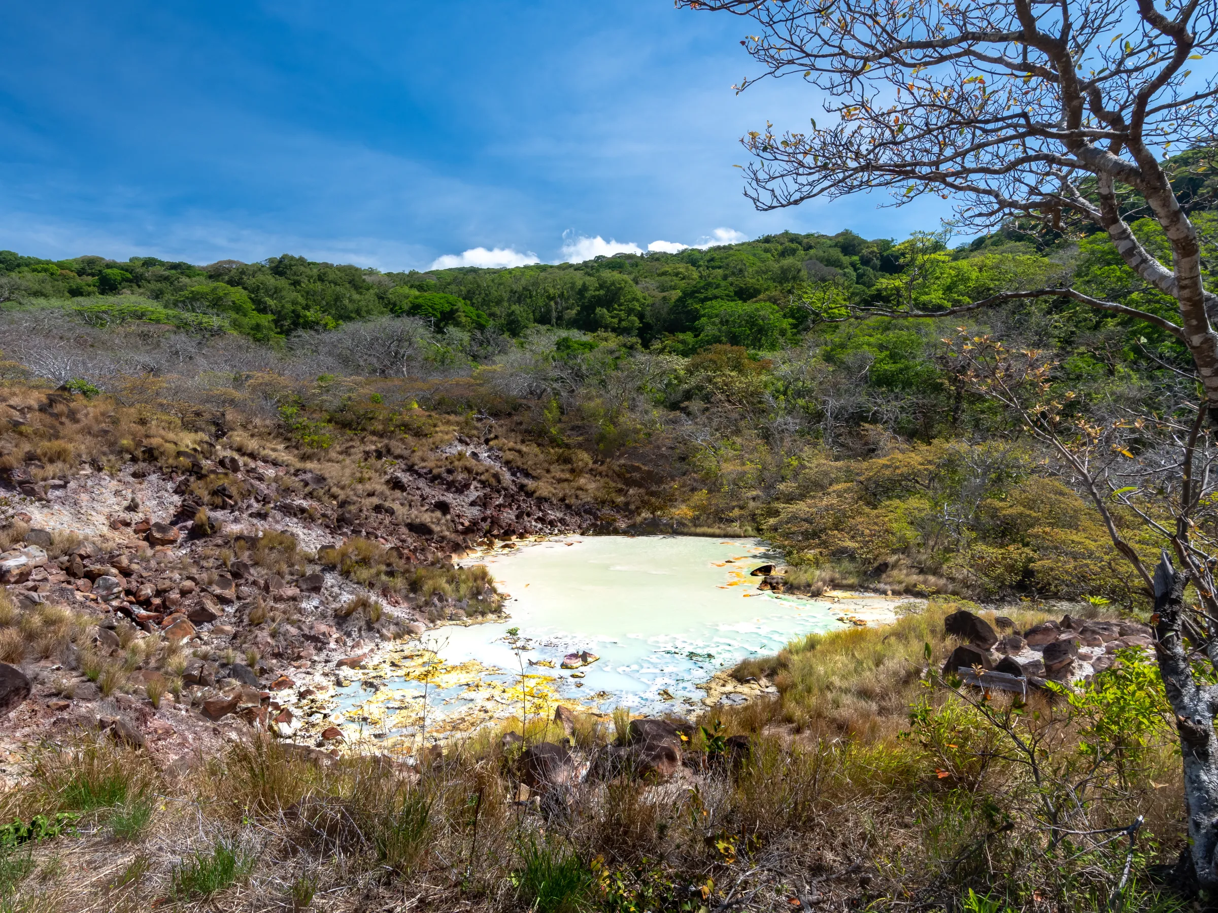 Scenic view of a bright sulfuric pool surrounded by rocky, grassy terrain and lush green forest under blue sky.