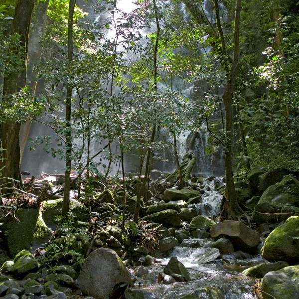 complete-guide-to-visiting-rincon-de-la-vieja-volcano-national-park