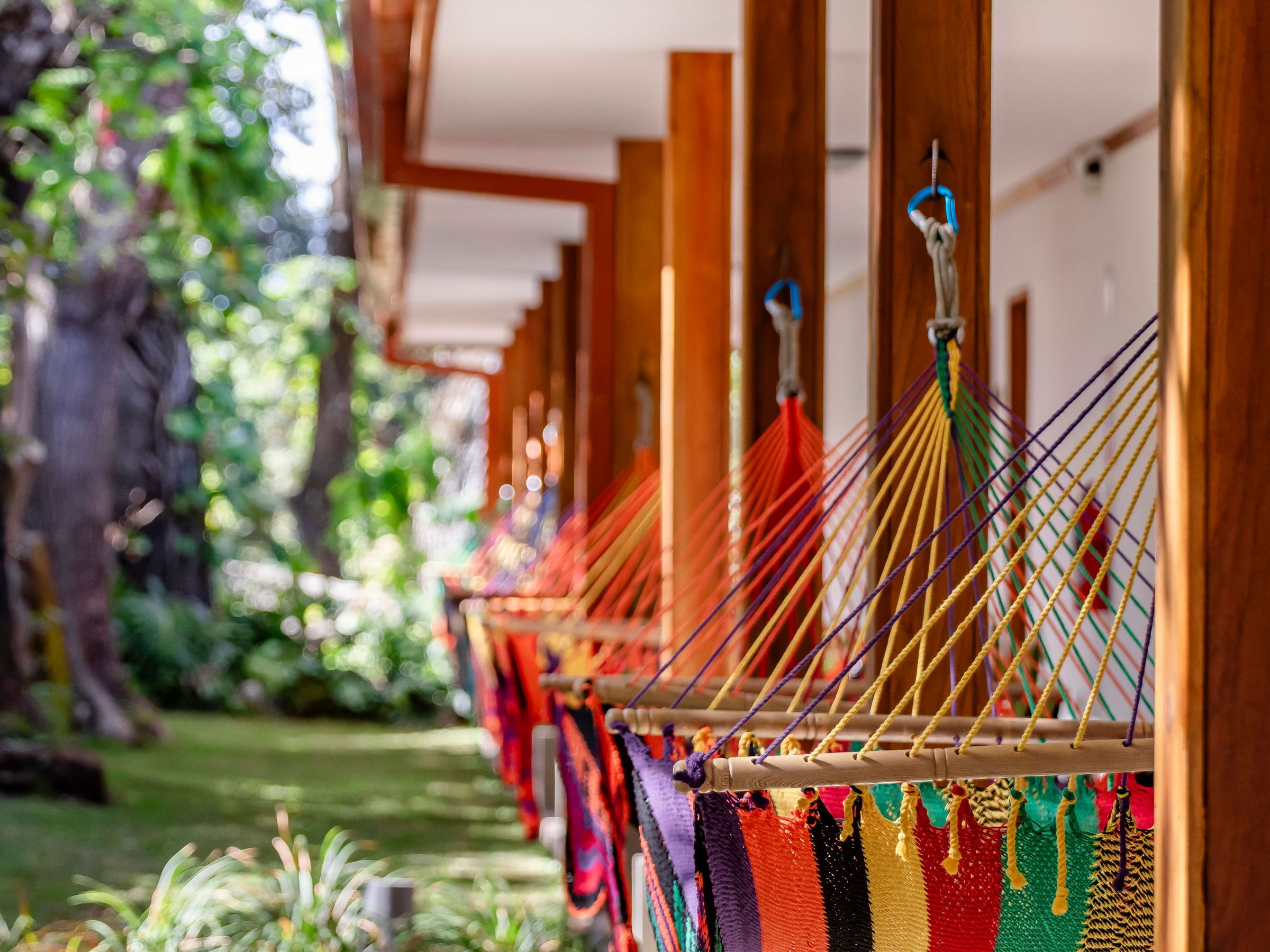 Colorful hammocks hanging from wooden beams outside a building with greenery in the background.