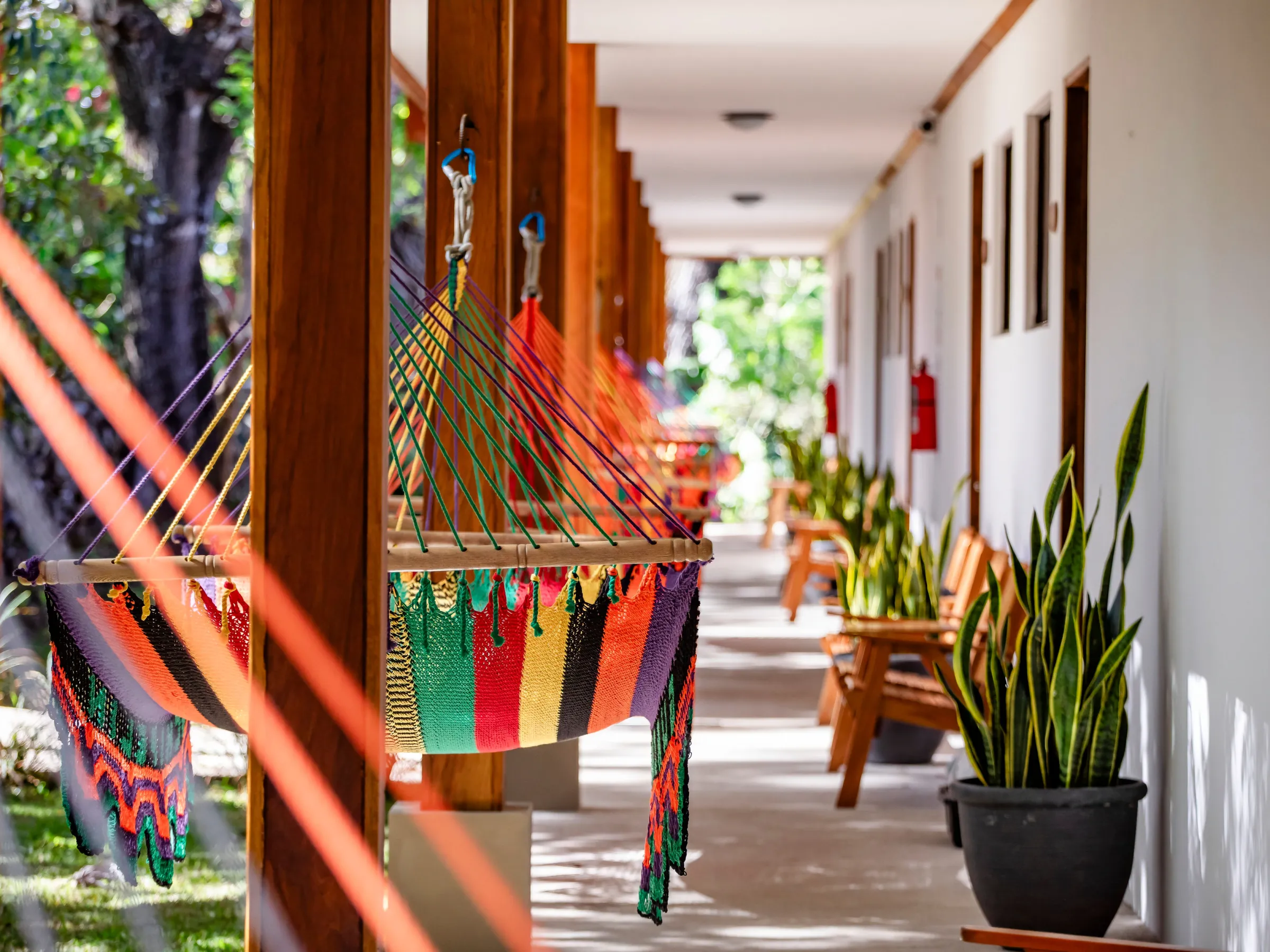 Colorful hammocks on a porch lined with potted plants and wooden chairs.