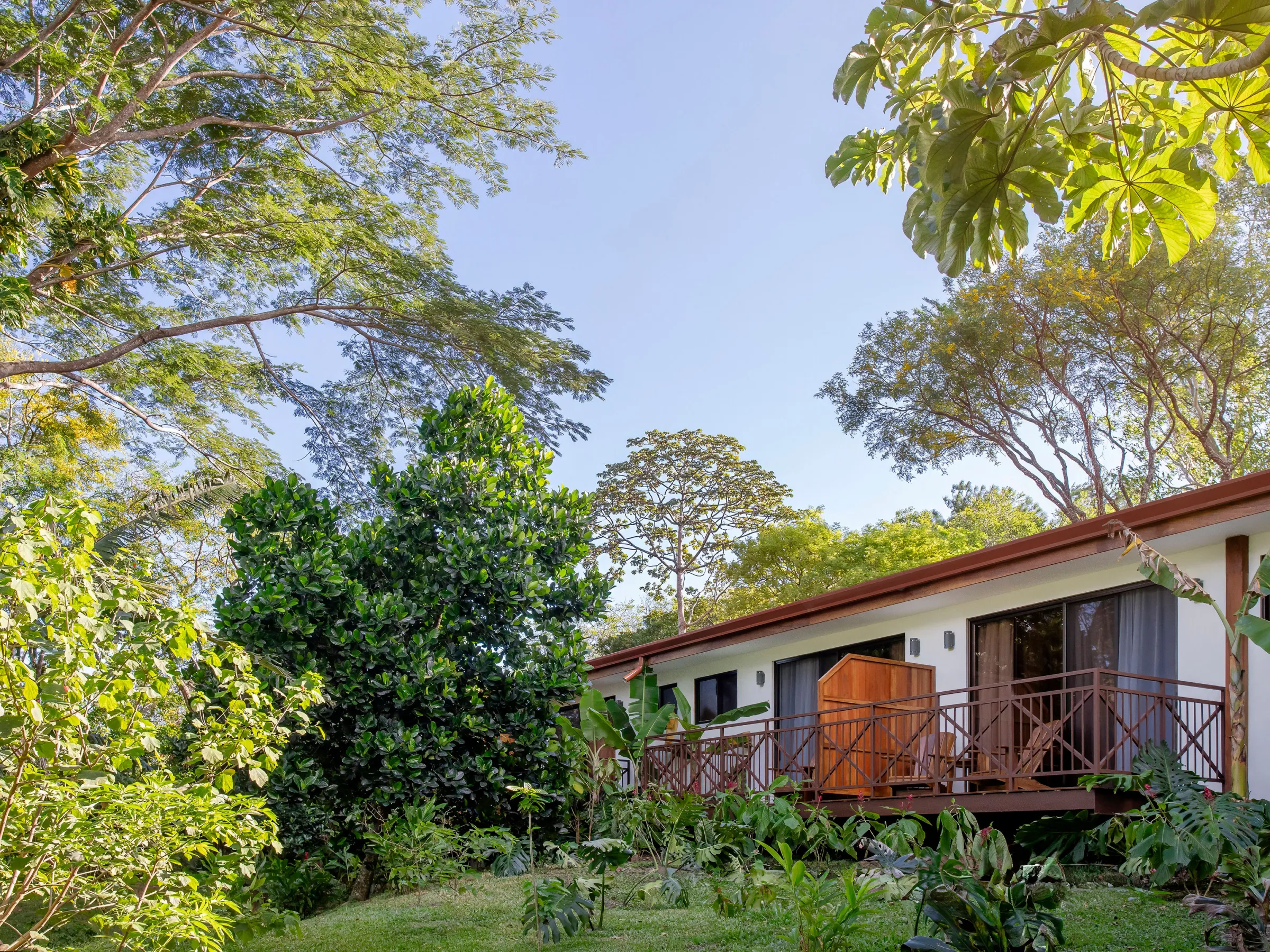 A house with a wooden deck surrounded by lush greenery and trees under a clear blue sky.