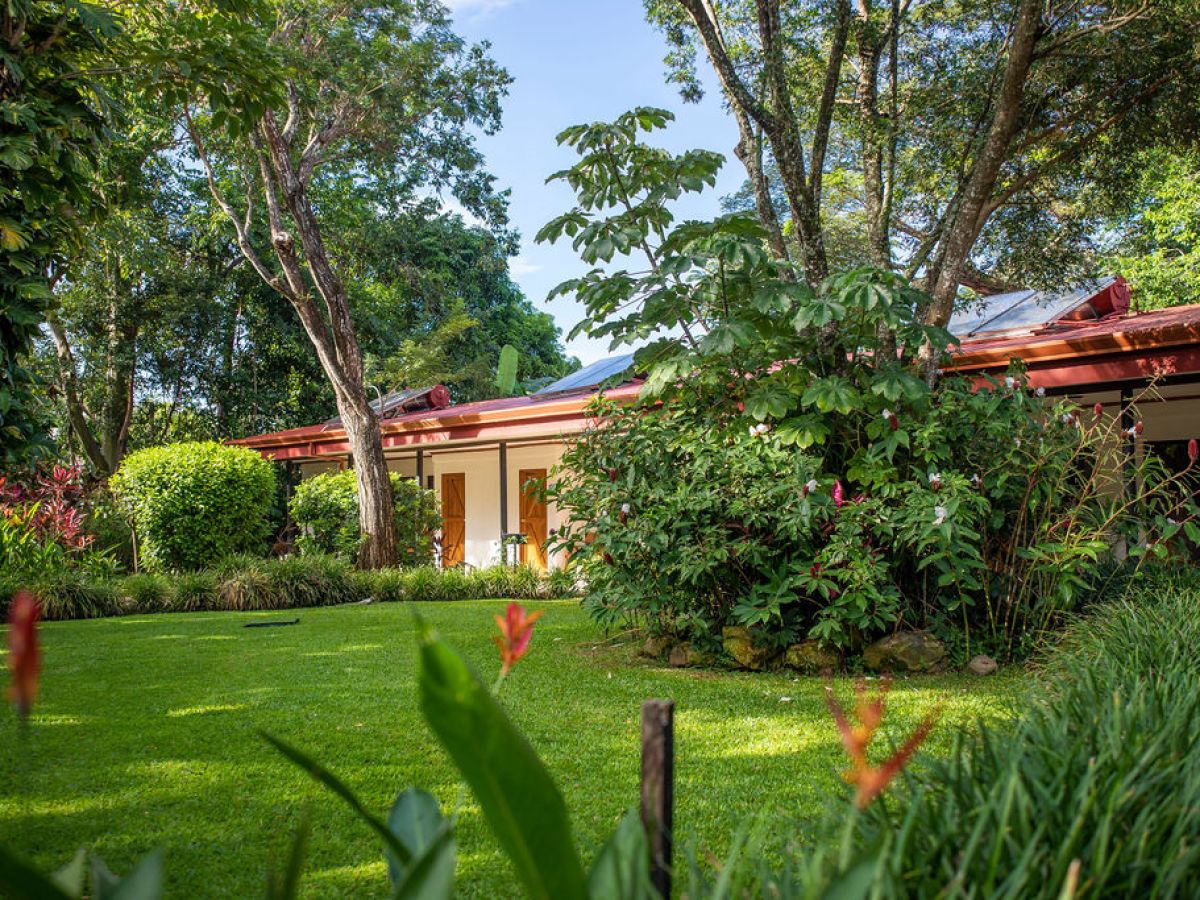 House with lush garden and trees under a clear blue sky.