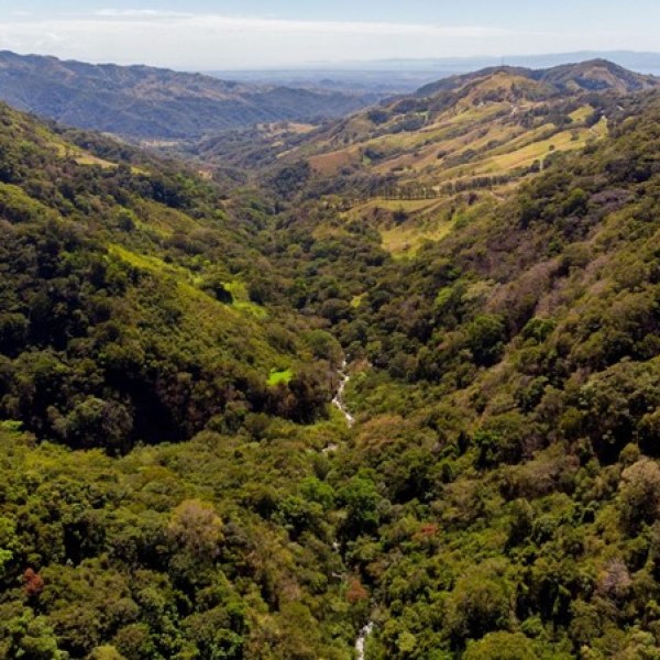 Aerial view of lush green valley between wooded hills under a blue sky.