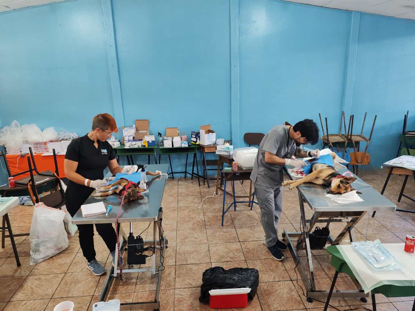 Discover how Hacienda Guachipelin supports animal welfare and community wellbeing in Curubandé through a local pet castration campaign with Vahu-Vet and the community school.