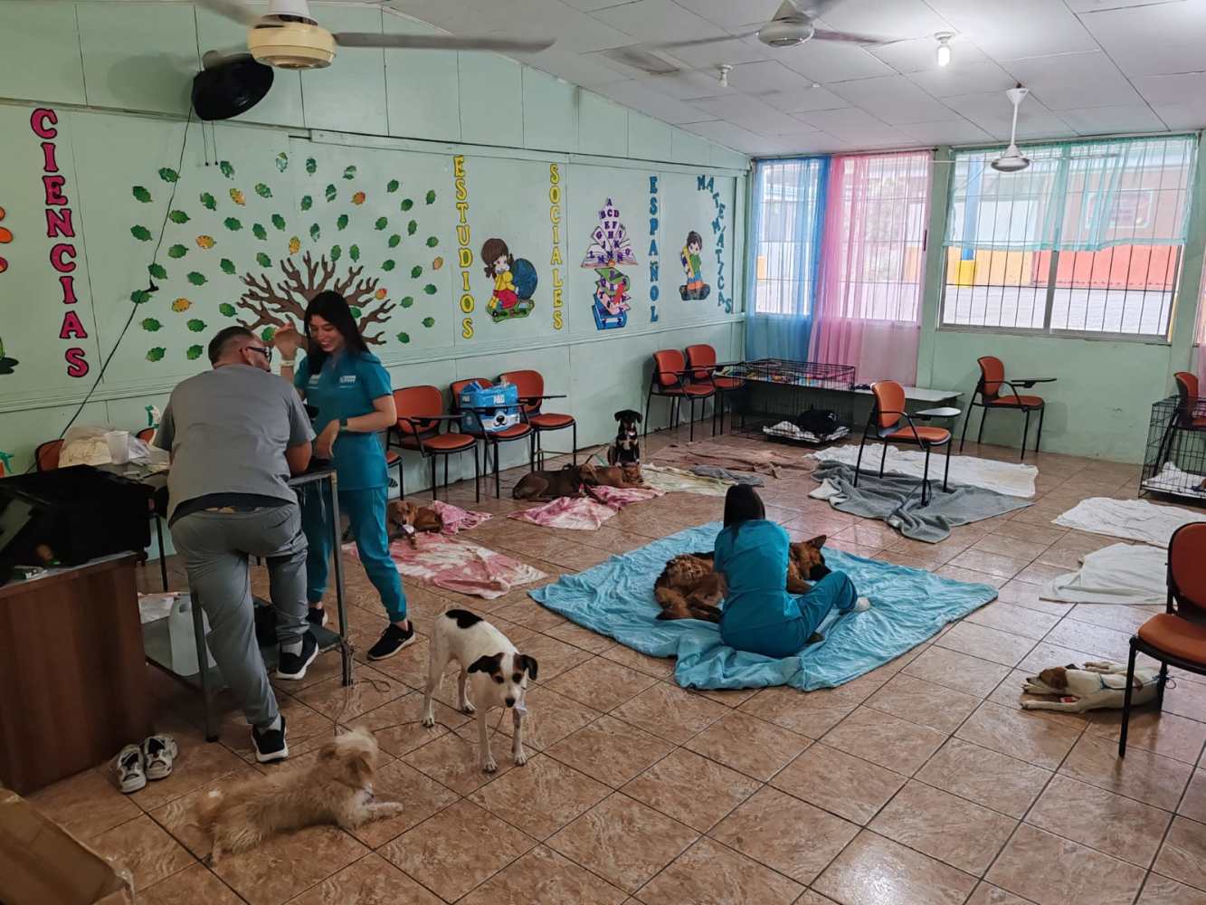 Hacienda Guachipelin animal welfare campaign supporting dogs, cats, families, and wildlife conservation in Curubandé, Guanacaste