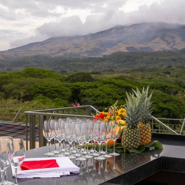 Outdoor bar with glasses, fruit, and mountain view in background.