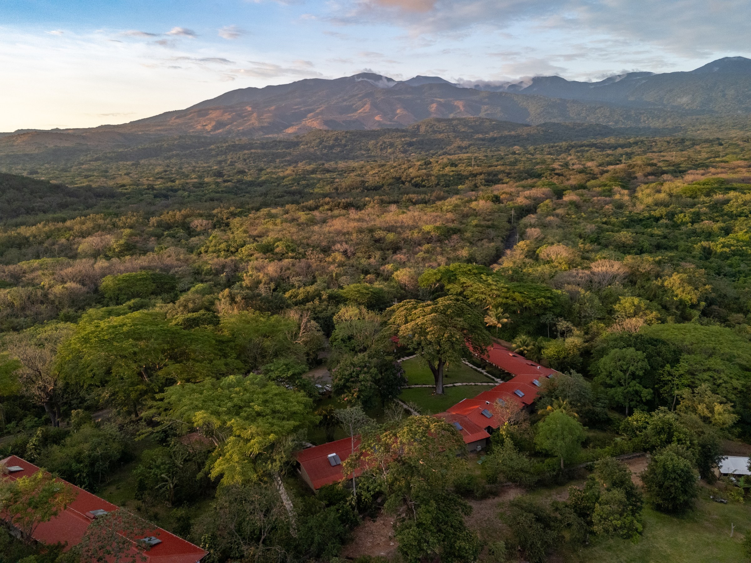 Aerial view of lush forest with distant mountains under a cloudy sky.