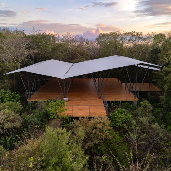 Modern treehouse with large canopy roof among dense greenery at sunset.