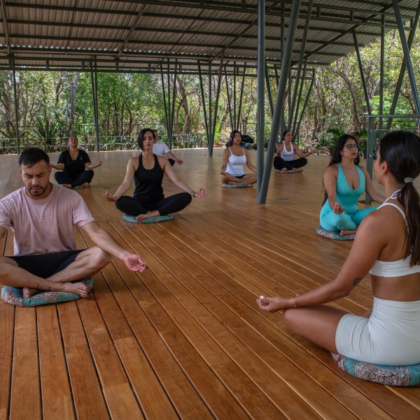 Group of people meditating on a wooden deck in a forest setting.