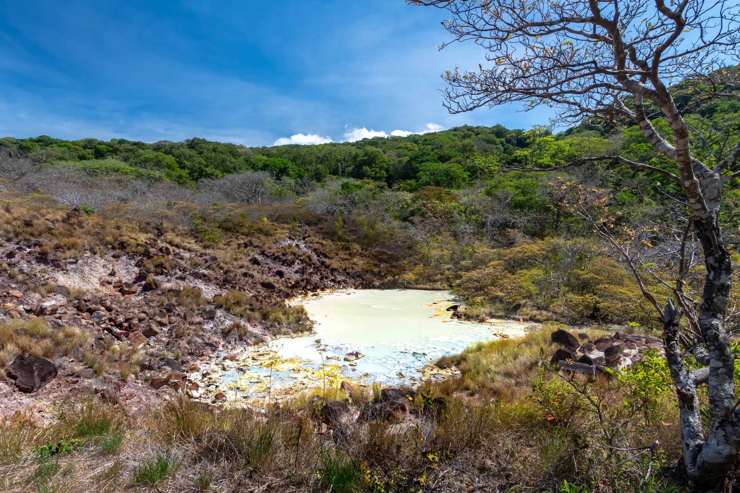 Small sulfur crater lake with surrounding greenery under blue sky.