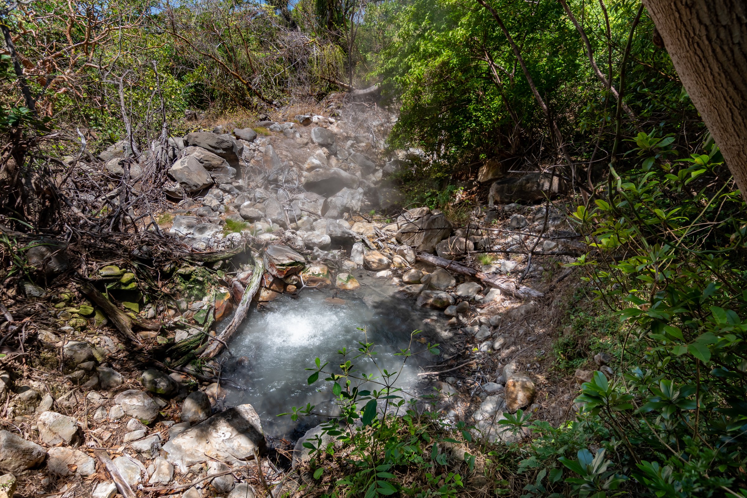 Small steaming creek flowing through a rocky and lush green forest area.