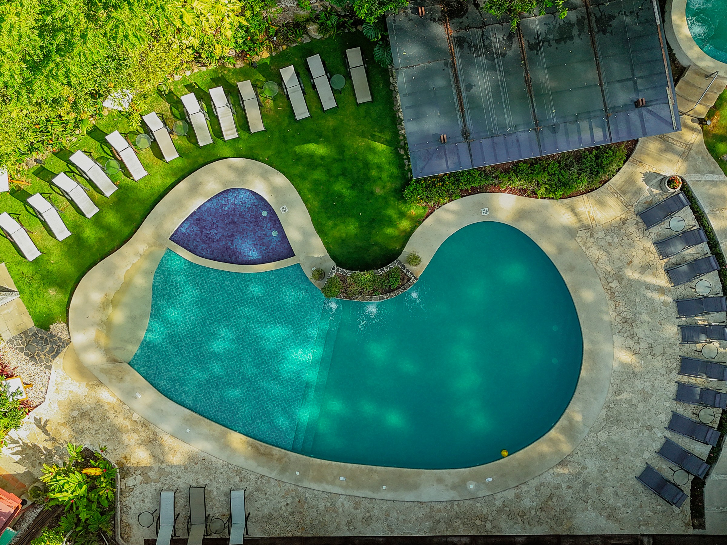 Aerial view of a kidney-shaped pool with surrounding lounge chairs and greenery.