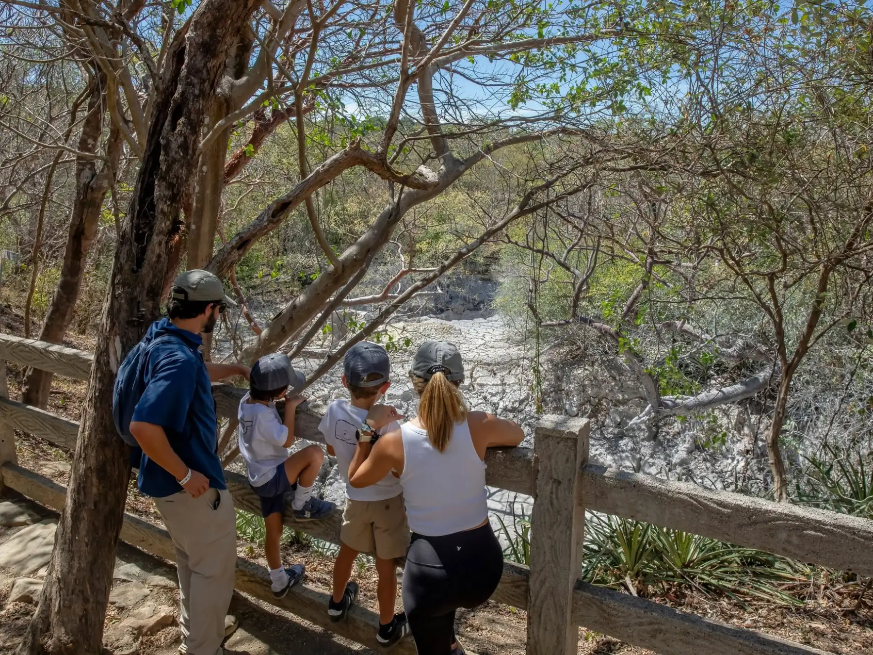 Family hiking along wooded trail, peering over wooden fence.