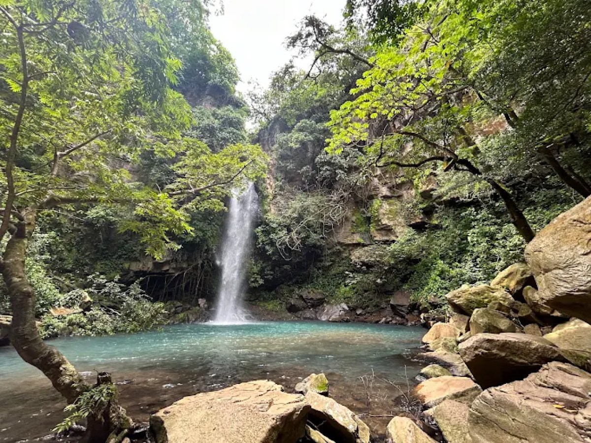 Waterfall flowing into a tranquil, turquoise pool in a lush, forested setting.